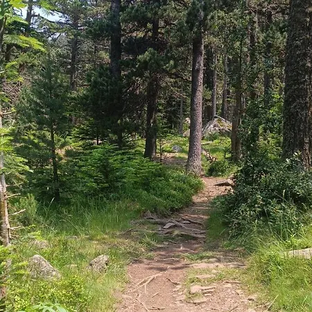 Appartement El Refugio De Sara *