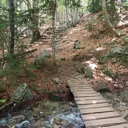 El Refugio De Sara