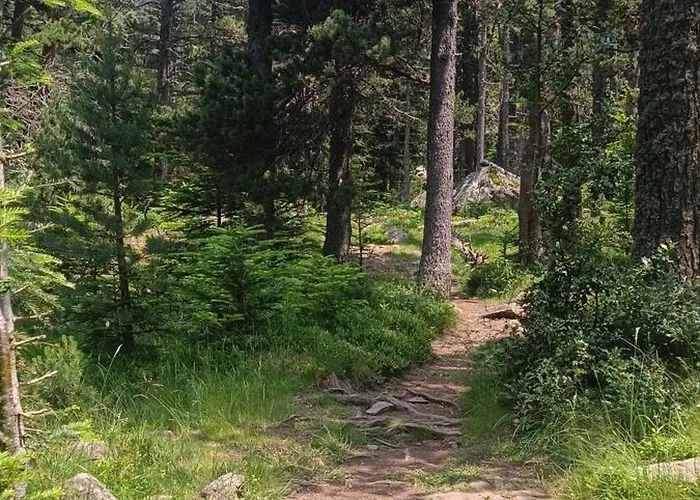 Апартаменты El Refugio De Sara *